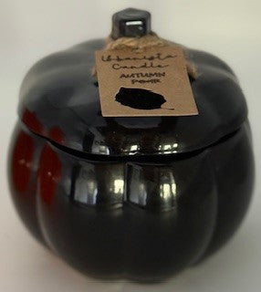 Black Pumpkin , Autumn Pear Scented 3- Wick Candle
